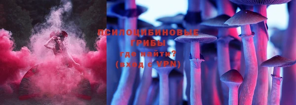 соль ск Нефтекумск