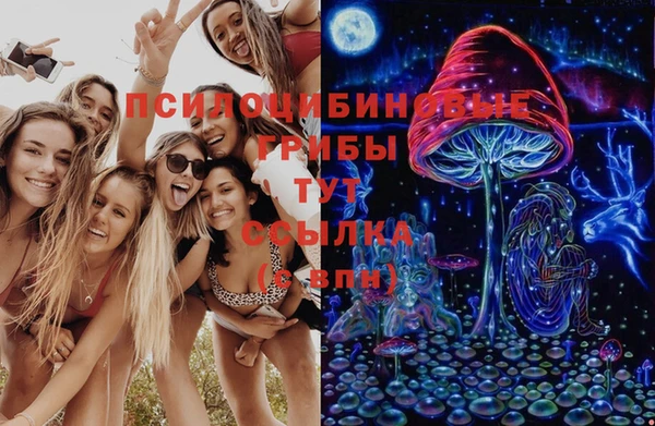 spice Нея