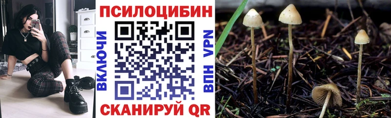 Псилоцибиновые грибы мухоморы Кохма