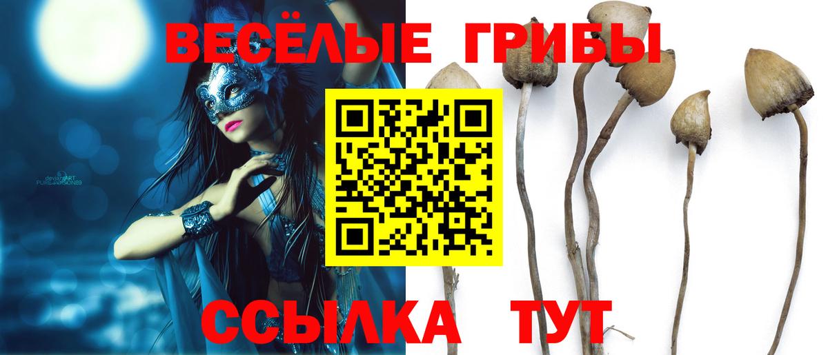 Псилоцибиновые грибы мухоморы Кохма